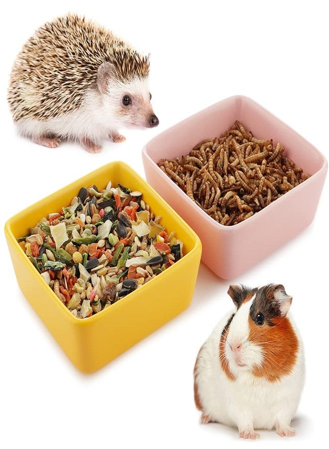 DQITJ 2 Pcs Pet Ceramic Food Bowl and Water Dish Feeder for Guinea Pig Hedgehog Squirrel Small Animals - Image 1